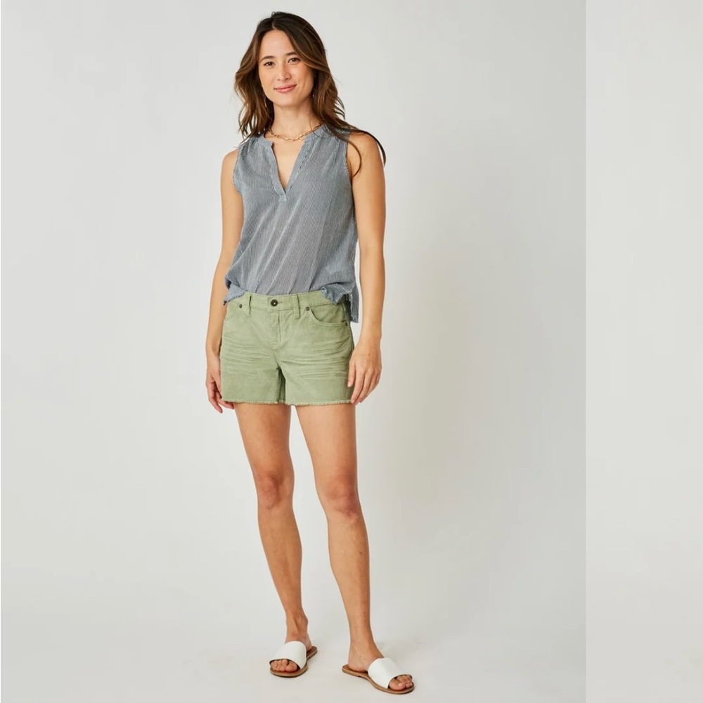 Carve Designs Oahu Shorts